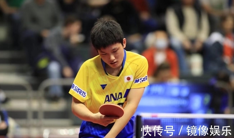 这无疑为东 这无疑为东