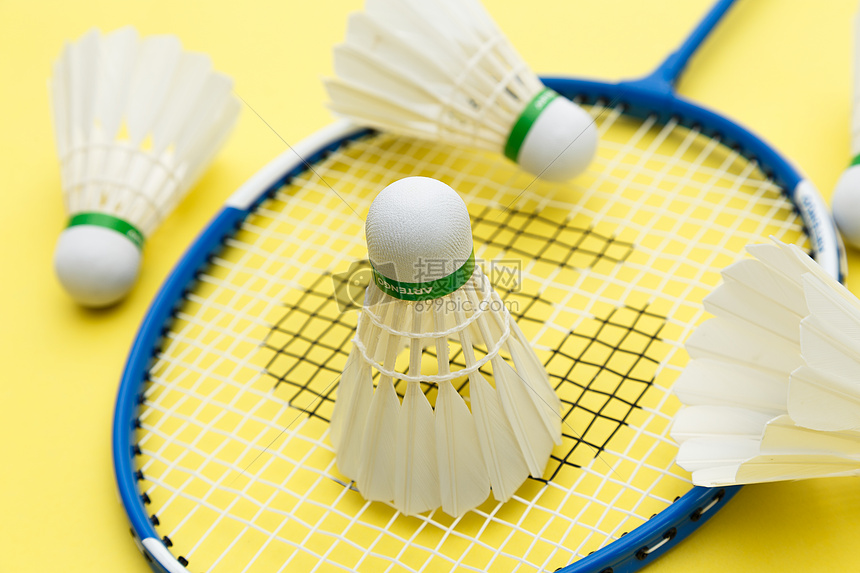 是否能把蓉 是否能把蓉